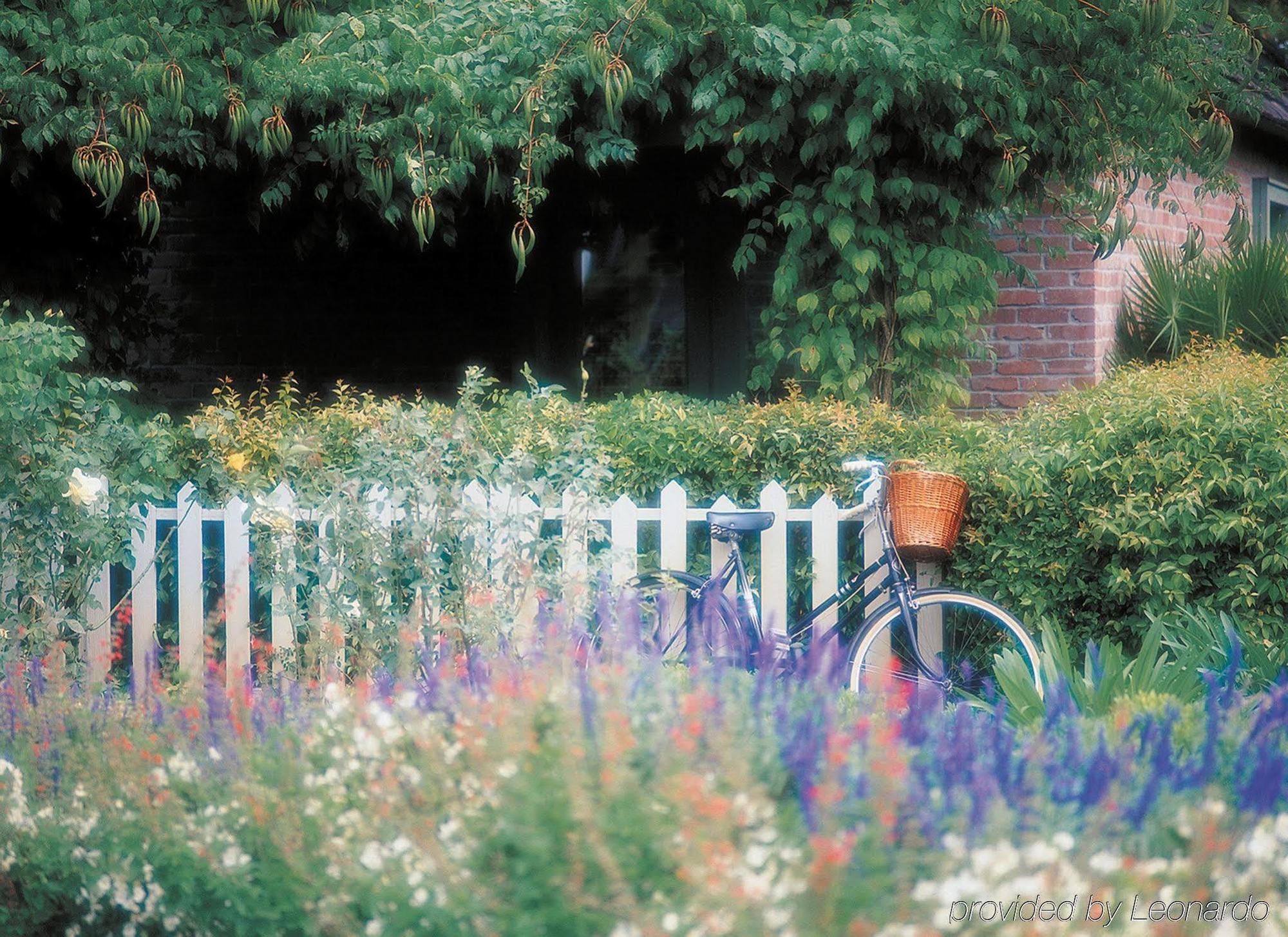 Vintage House At The Estate Yountville Bagian luar foto